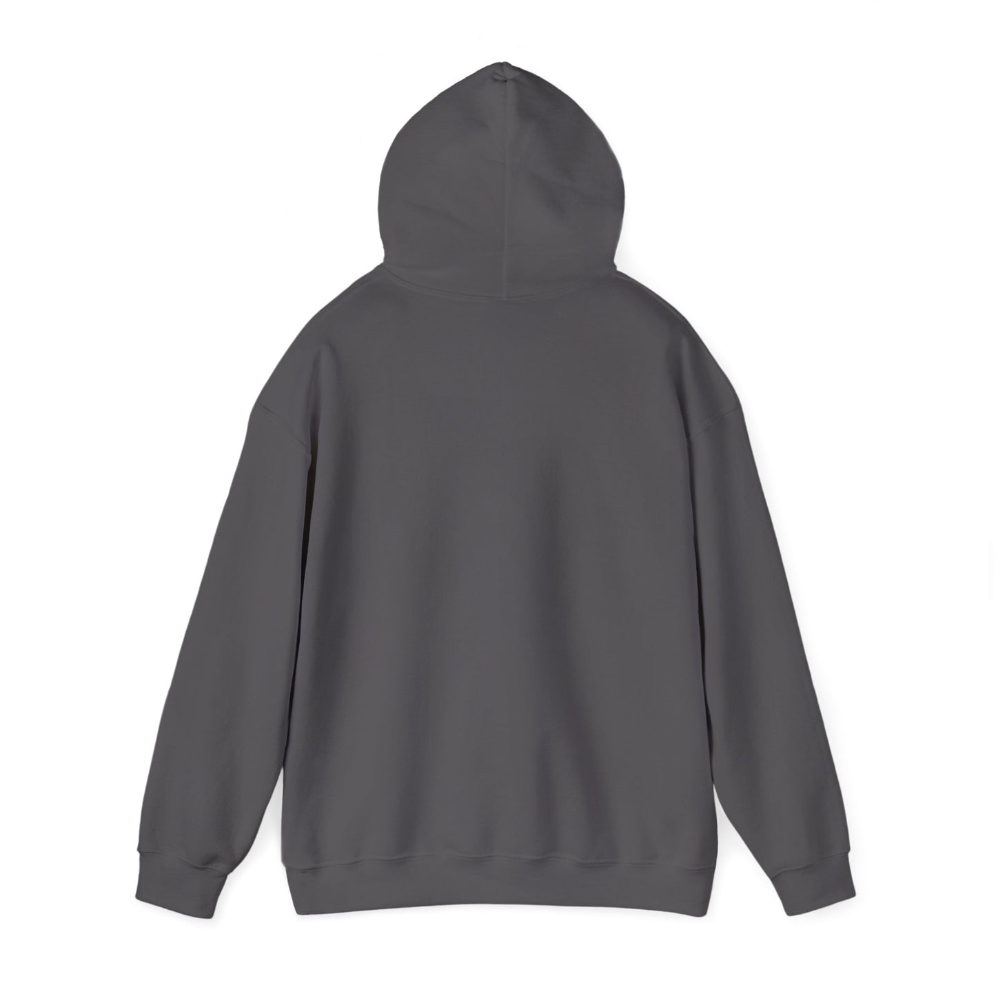 Bottomless Trails Heavy Blend Hoodie (pink/blue)