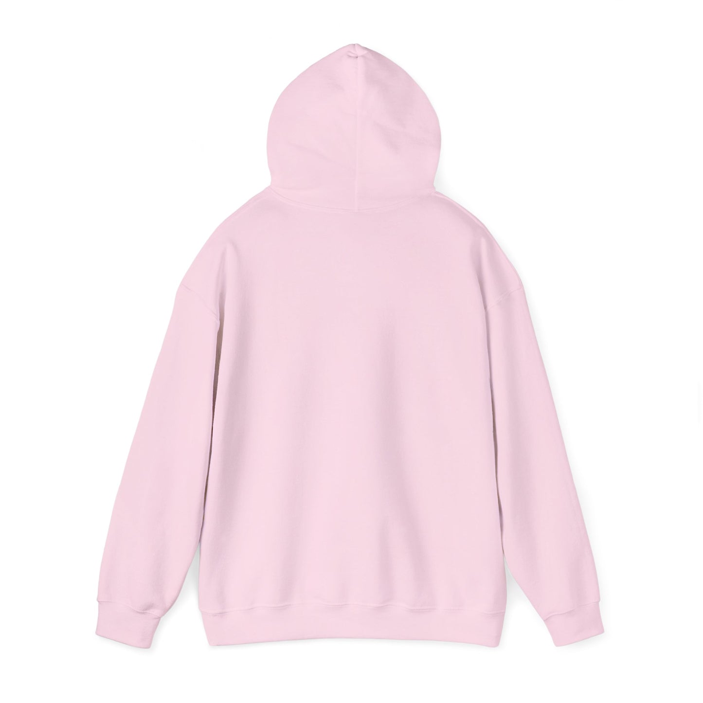 Bottomless Trails Heavy Blend Hoodie (pink/blue)