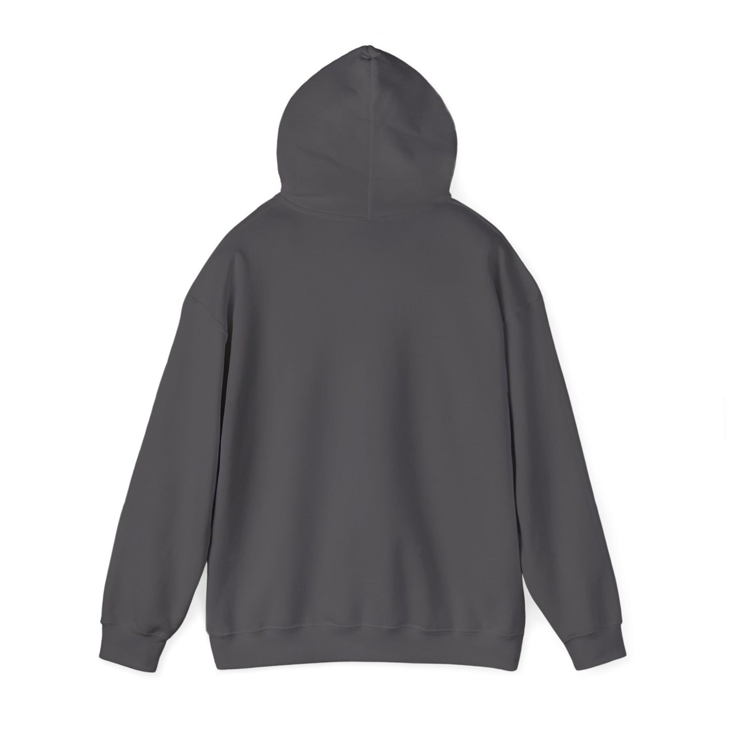 Bottomless Trails Heavy Blend Hoodie (pink/blue)