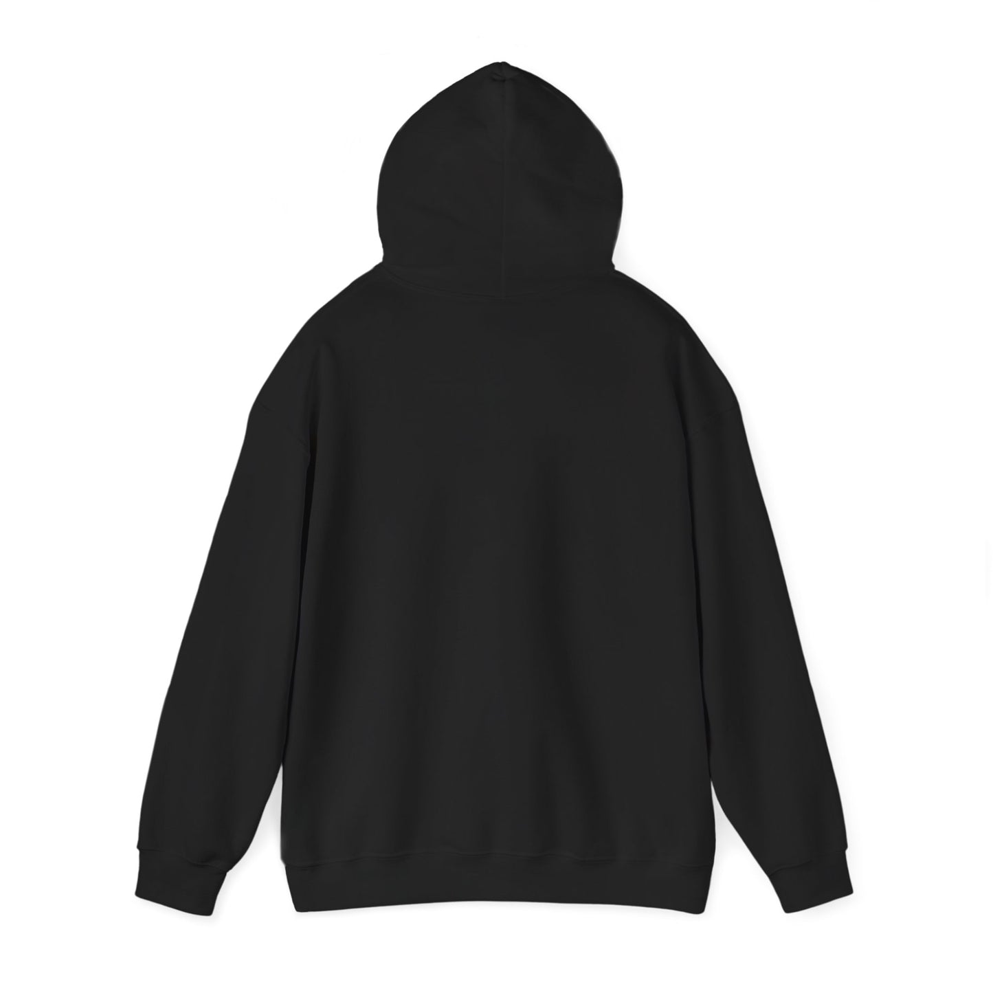Bottomless Trails Heavy Blend Hoodie (pink/blue)