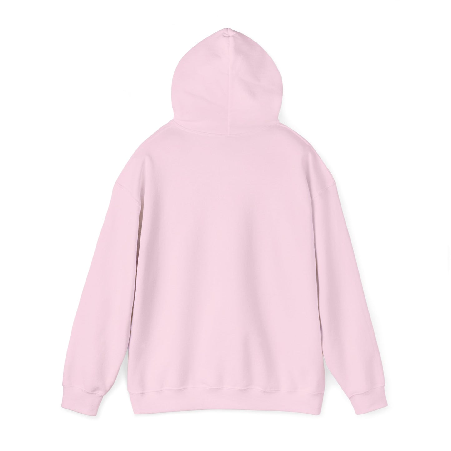 Bottomless Trails Heavy Blend Hoodie (pink/blue)