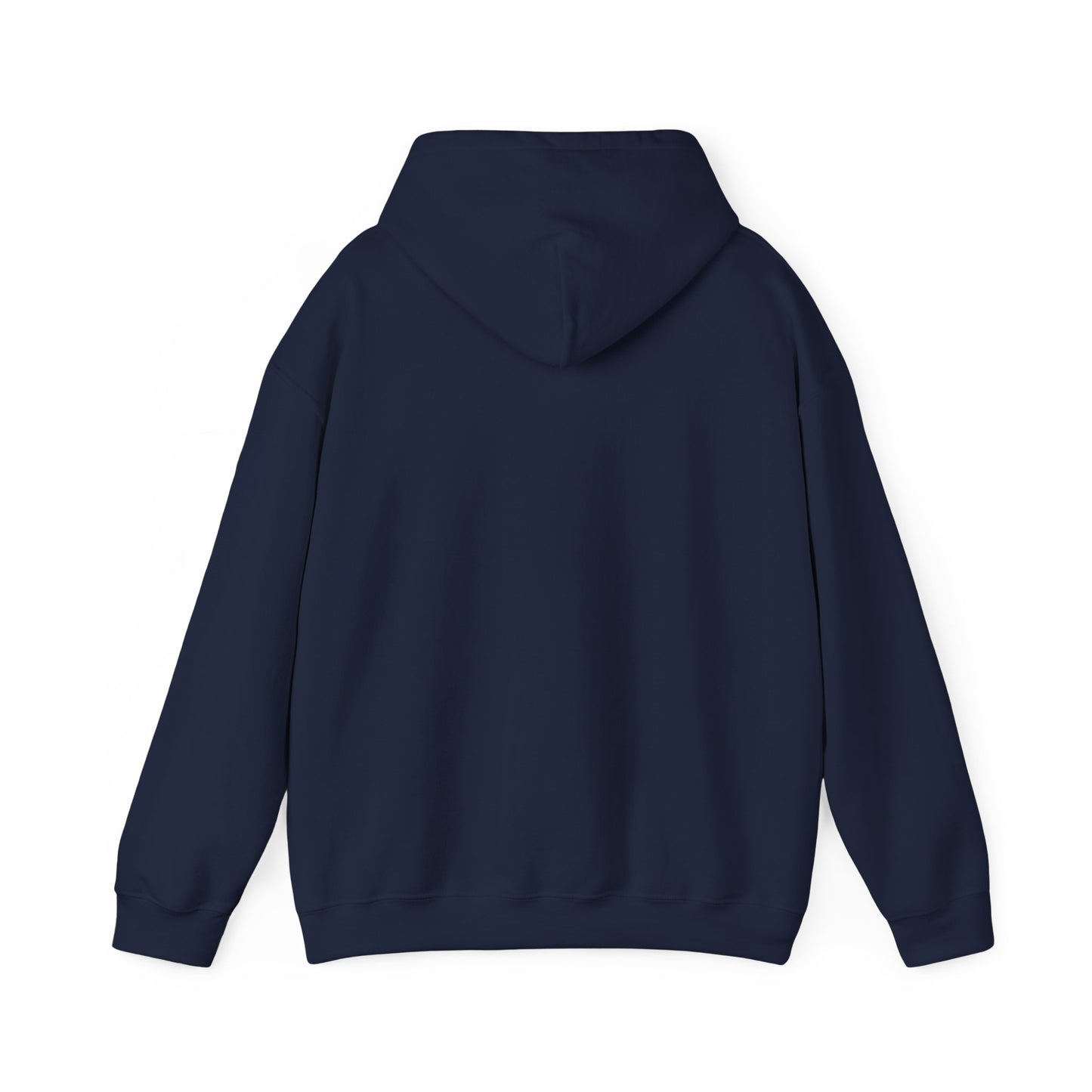 Bottomless Trails Heavy Blend Hoodie (pink/blue)